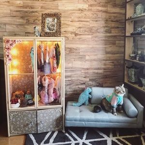 Adorable closet for pet